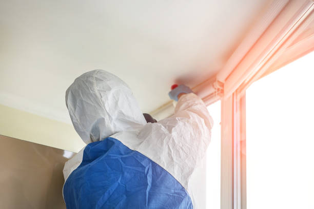 Best Forensic Mold Investigation  in Woodland Park, CO