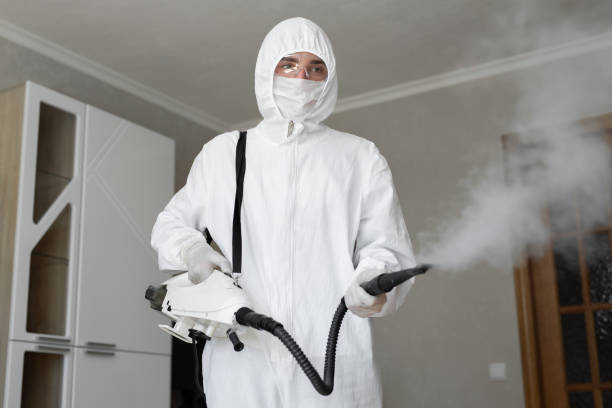 Why You Should Choose Our Mold Remediation Services in Woodland Park, CO